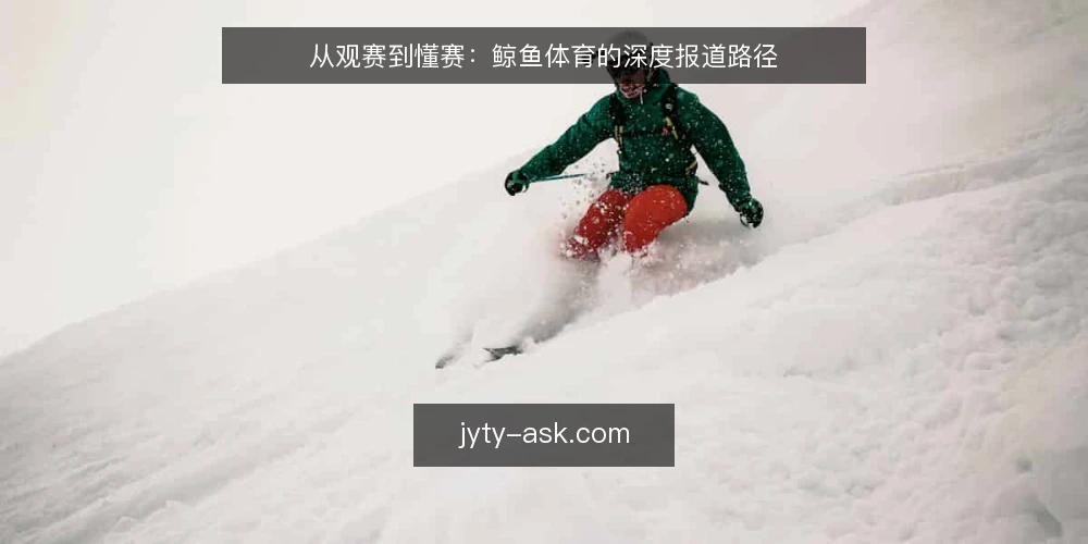 从观赛到懂赛:鲸鱼体育的深度报道路径 — 初遇:观赛时的一头雾水 配图