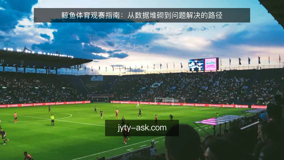 鲸鱼体育观赛指南：从数据堆砌到问题解决的路径