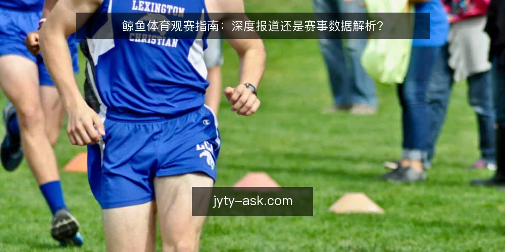 鲸鱼体育观赛指南：深度报道还是赛事数据解析？ — 为什么现在需要重新审视你的观赛信息源 配图