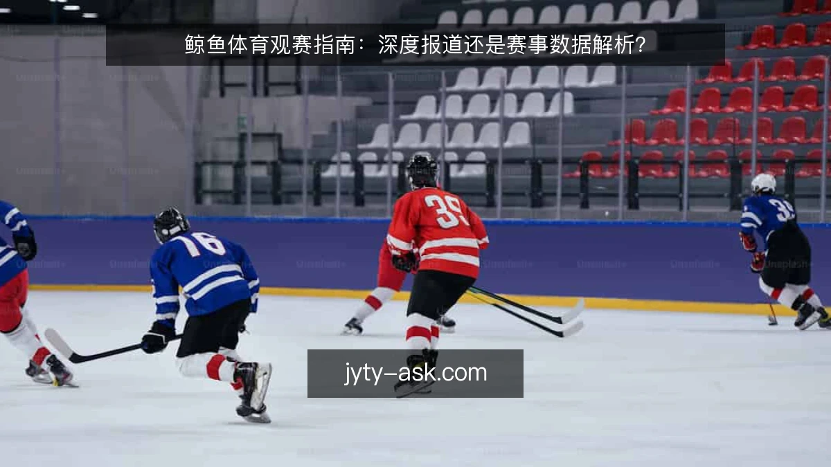 鲸鱼体育观赛指南：深度报道还是赛事数据解析？