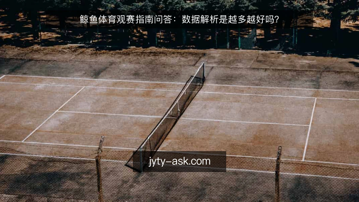 鲸鱼体育观赛指南问答:数据解析是越多越好吗?