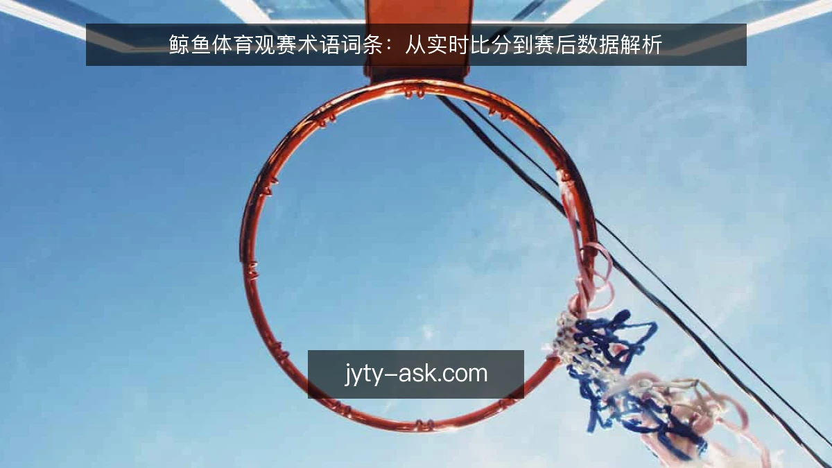 鲸鱼体育观赛术语词条：从实时比分到赛后数据解析