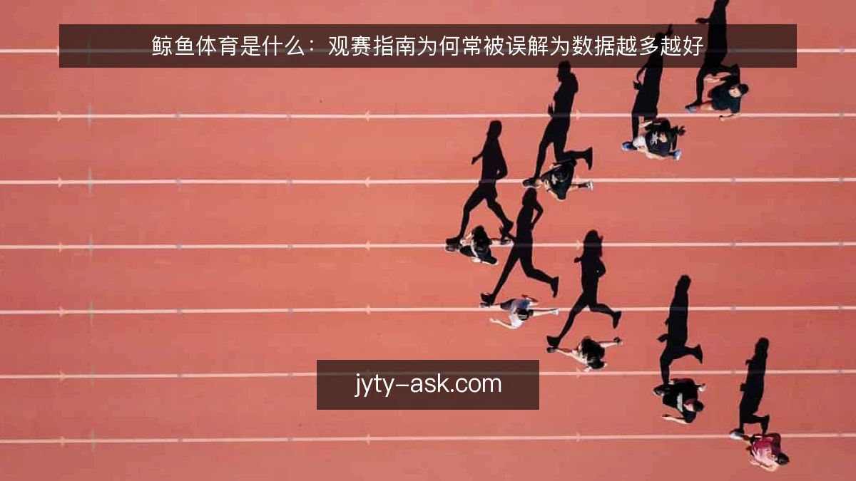 鲸鱼体育是什么：观赛指南为何常被误解为数据越多越好