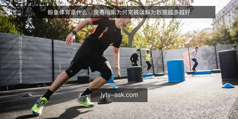 鲸鱼体育是什么：观赛指南为何常被误解为数据越多越好 — 先把观赛指南说清楚：它是什么 配图