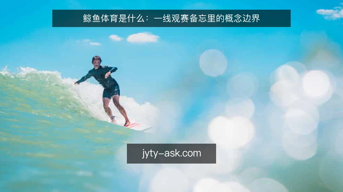 鲸鱼体育是什么:一线观赛备忘里的概念边界