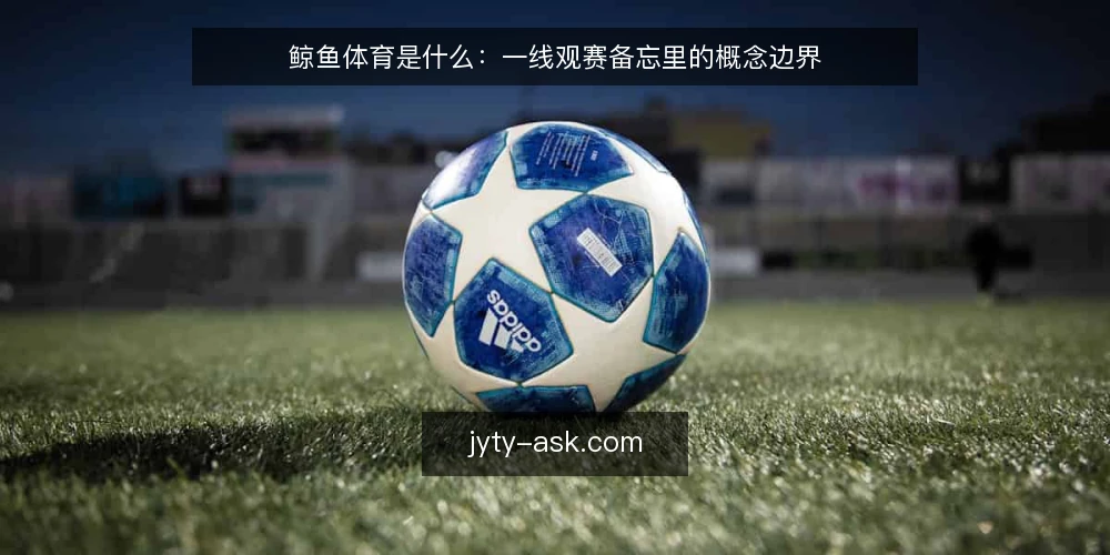 鲸鱼体育是什么:一线观赛备忘里的概念边界 — 现场先看什么信号 配图