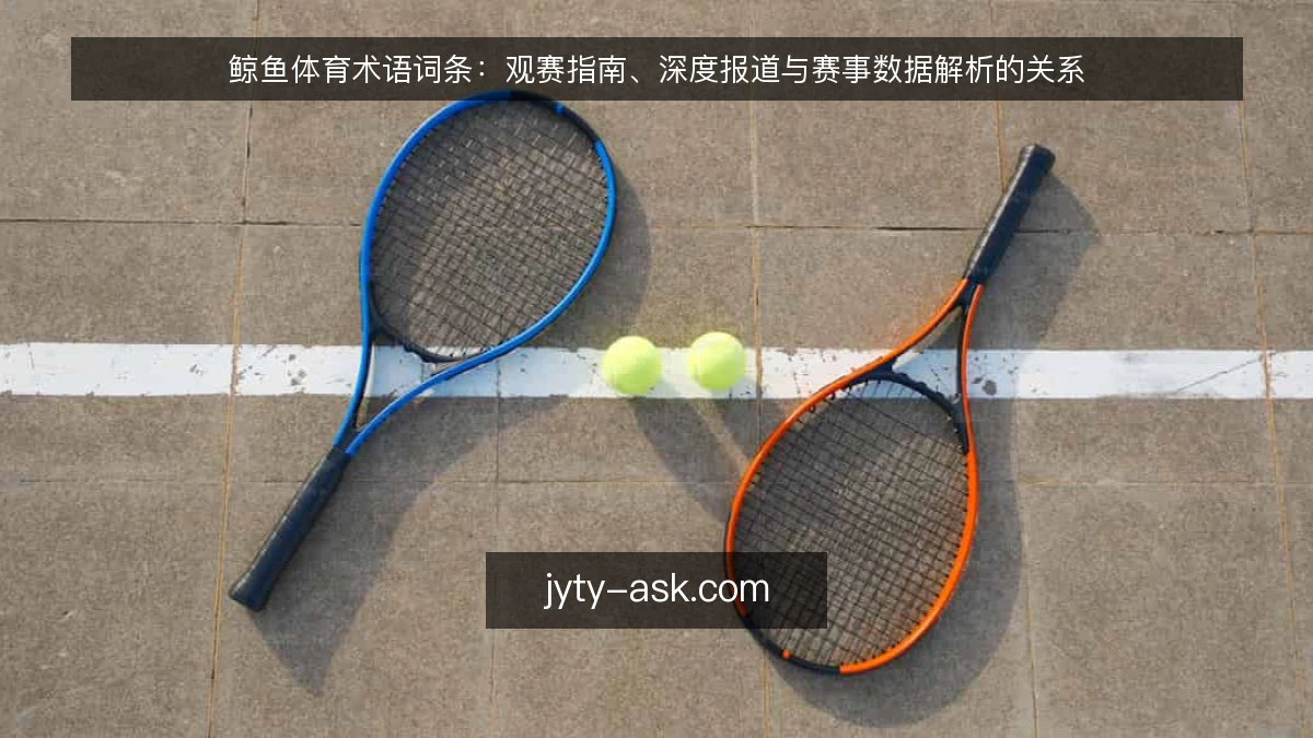 鲸鱼体育术语词条:观赛指南、深度报道与赛事数据解析的关系