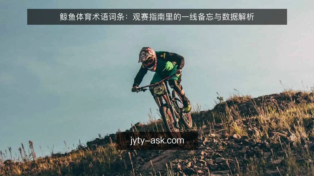 鲸鱼体育术语词条：观赛指南里的一线备忘与数据解析
