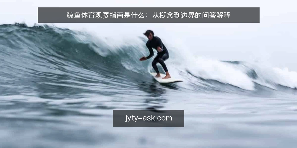 鲸鱼体育观赛指南是什么：从概念到边界的问答解释 — 先说清楚：鲸鱼体育观赛指南到底指什么 配图