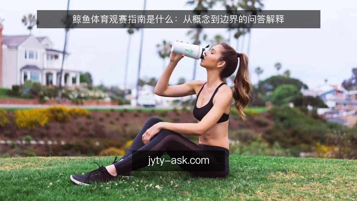 鲸鱼体育观赛指南是什么：从概念到边界的问答解释