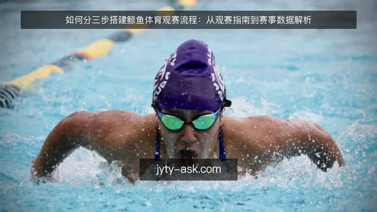 如何分三步搭建鲸鱼体育观赛流程：从观赛指南到赛事数据解析